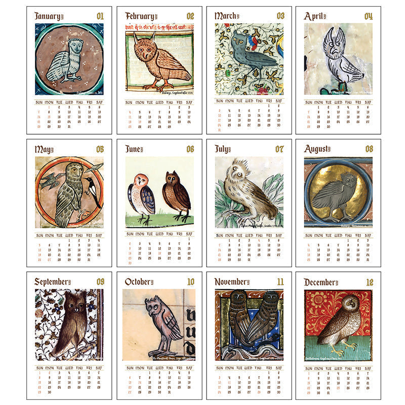 Weird Medieval Owl Calendar 2024 lifesparking